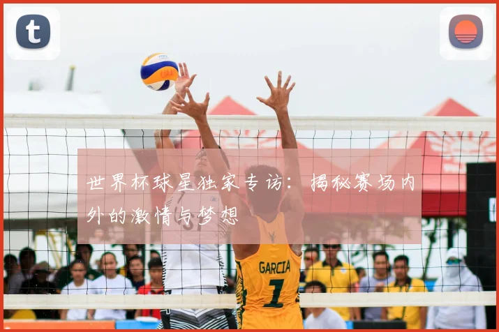 世界杯球星独家专访：揭秘赛场内外的激情与梦想