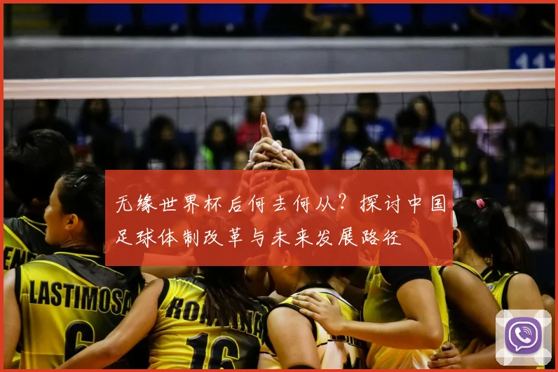 无缘世界杯后何去何从？探讨中国足球体制改革与未来发展路径