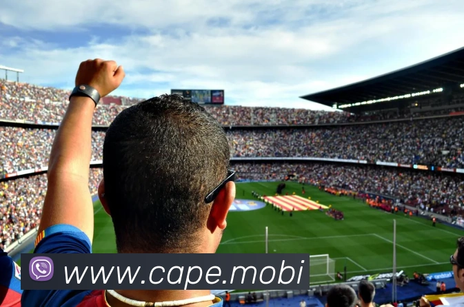 mksports网站APP 封面图